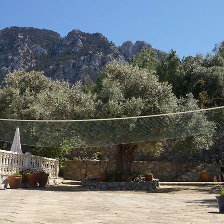 Villa Layla Girne Buitenkant foto